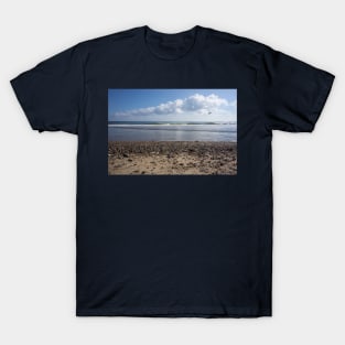 Nauset beach T-Shirt